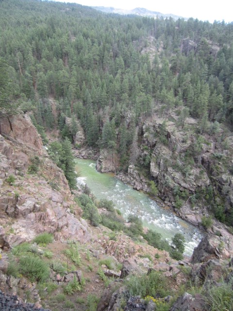 IMG_4350.JPG